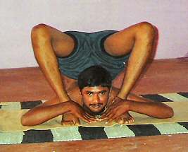Vinay Kumar M.P.